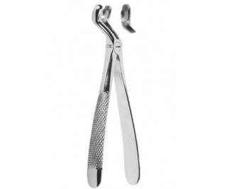 Extracting Forceps English pattern